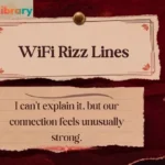 WiFi Rizz Lines